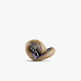 MOTUS STRENGTH II MENS